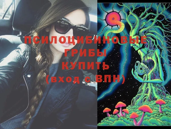 винт Аркадак